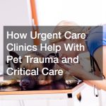 How Urgent Care Clinics Help With Pet Trauma and Critical Care