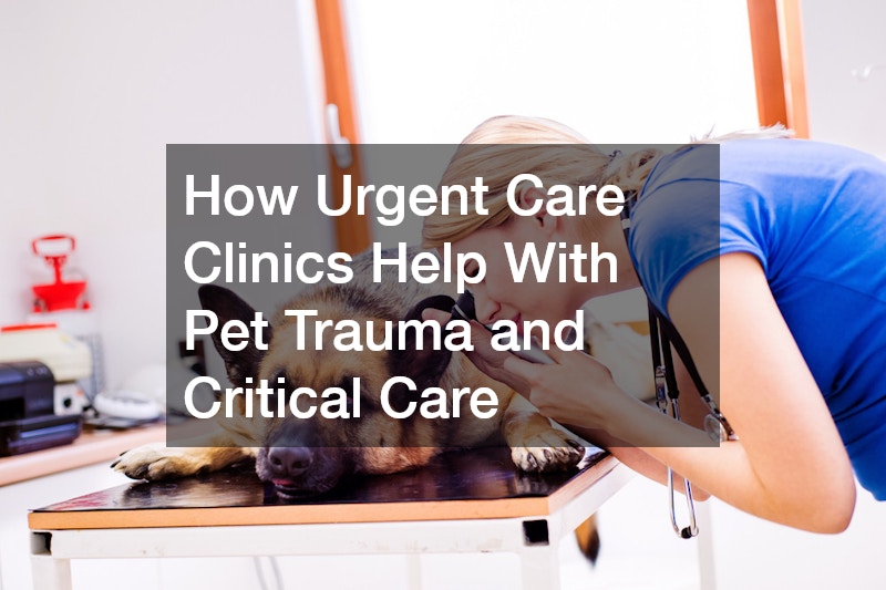 How Urgent Care Clinics Help With Pet Trauma and Critical Care