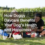 How Doggy Daycare Benefits Your Dog’s Health and Happiness