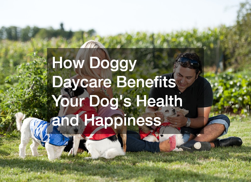How Doggy Daycare Benefits Your Dog’s Health and Happiness