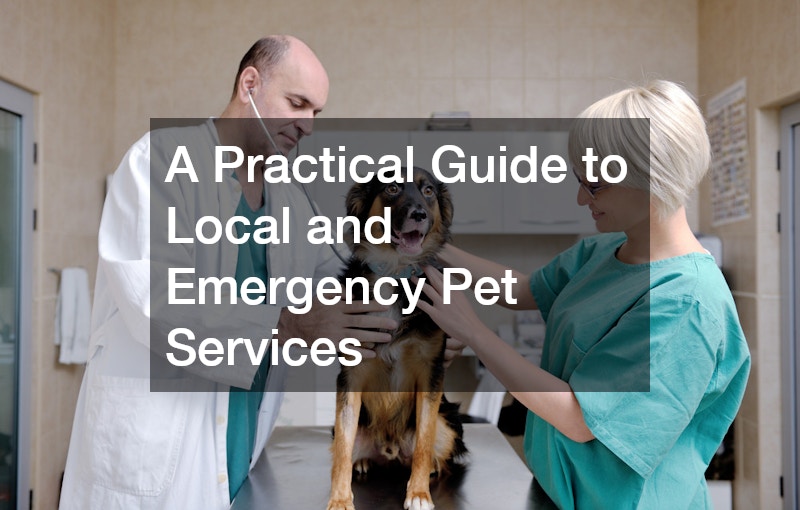 A Practical Guide to Local and Emergency Pet Services