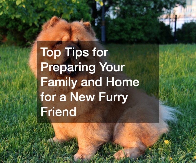 Top Tips for Preparing Your Family and Home for a New Furry Friend
