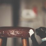 5 Gentle Techniques: How to Stop Cats from Scratching Furniture Without Using Punishment