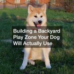 Building a Backyard Play Zone Your Dog Will Actually Use