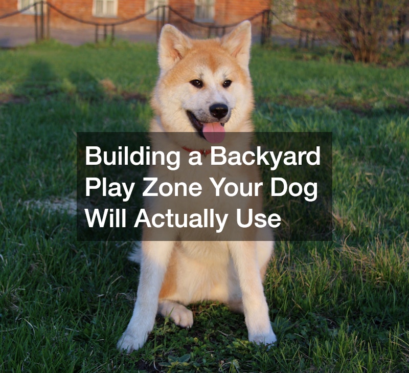 Building a Backyard Play Zone Your Dog Will Actually Use