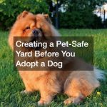 Creating a Pet-Safe Yard Before You Adopt a Dog